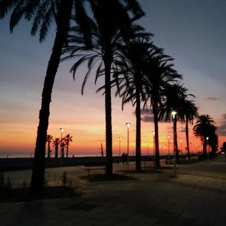 Apartamento Apartamento En A 100m De La Playa