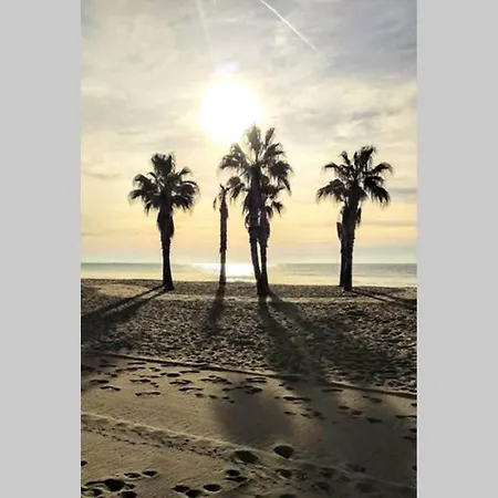 Apartamento En A 100m De La Playa *
